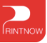 PRINTNOW-Logo