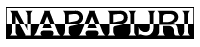 NAPAPIJRI-Logo