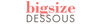 Bigsize-Dessous-Logo