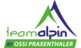 Teamalpin-Logo