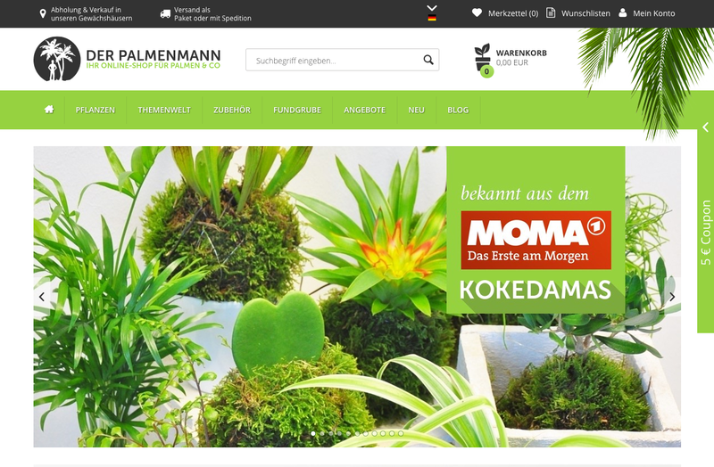 DER PALMENMANN Screenshot