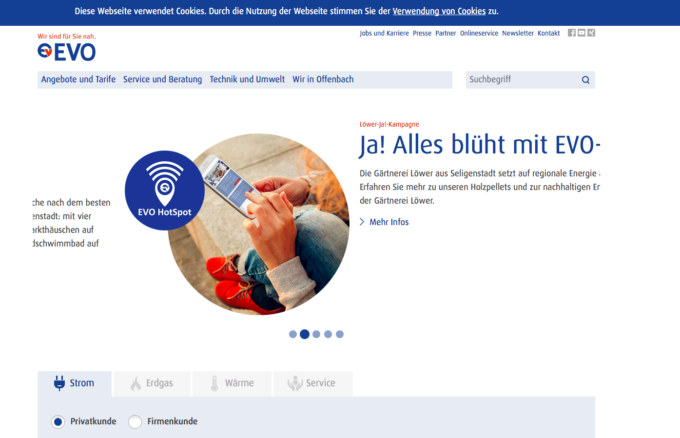 Evo-ag.de Screenshot