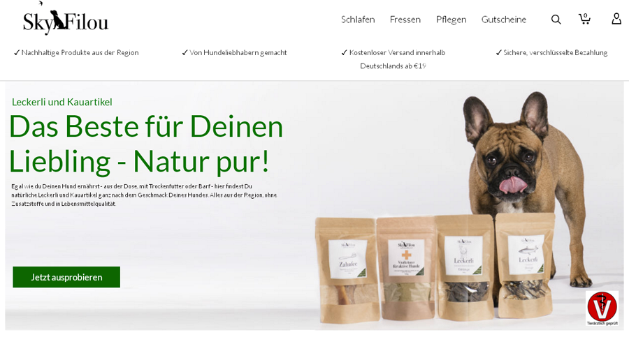 Skyandfilou.com Screenshot